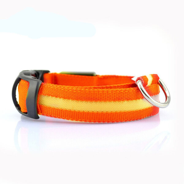 Safety Dog LED Collar - Image 7