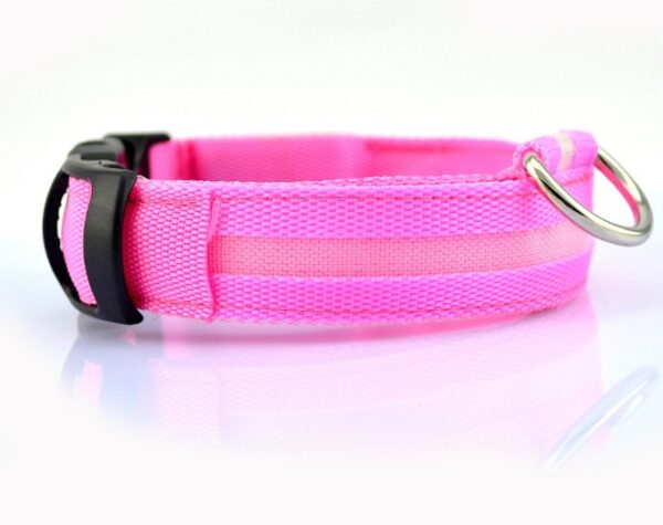 Safety Dog LED Collar - Image 4